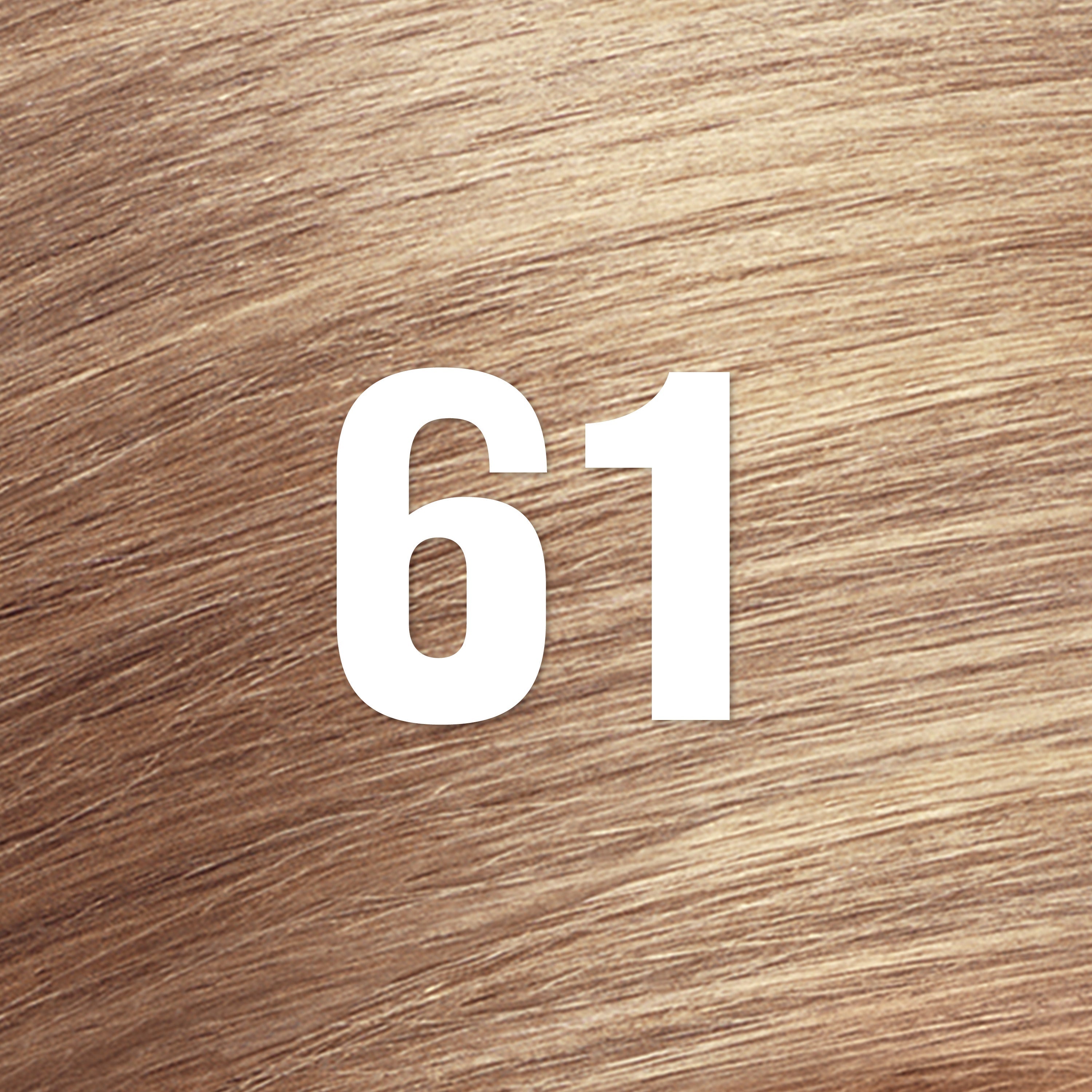 ColorSilk™ with Bond Repair Complex Permanent Hair Dye
